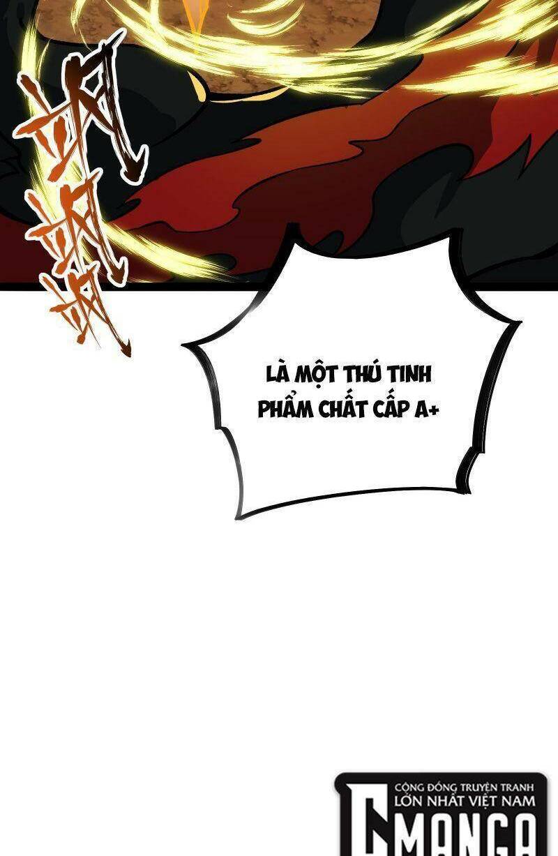 luyện khí một vạn tầng Chapter 17 - Trang 2